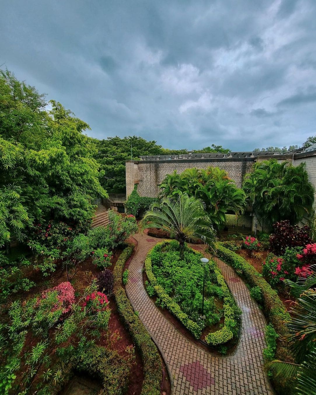 How to Choose the Right Plants for a Low-Maintenance Landscape