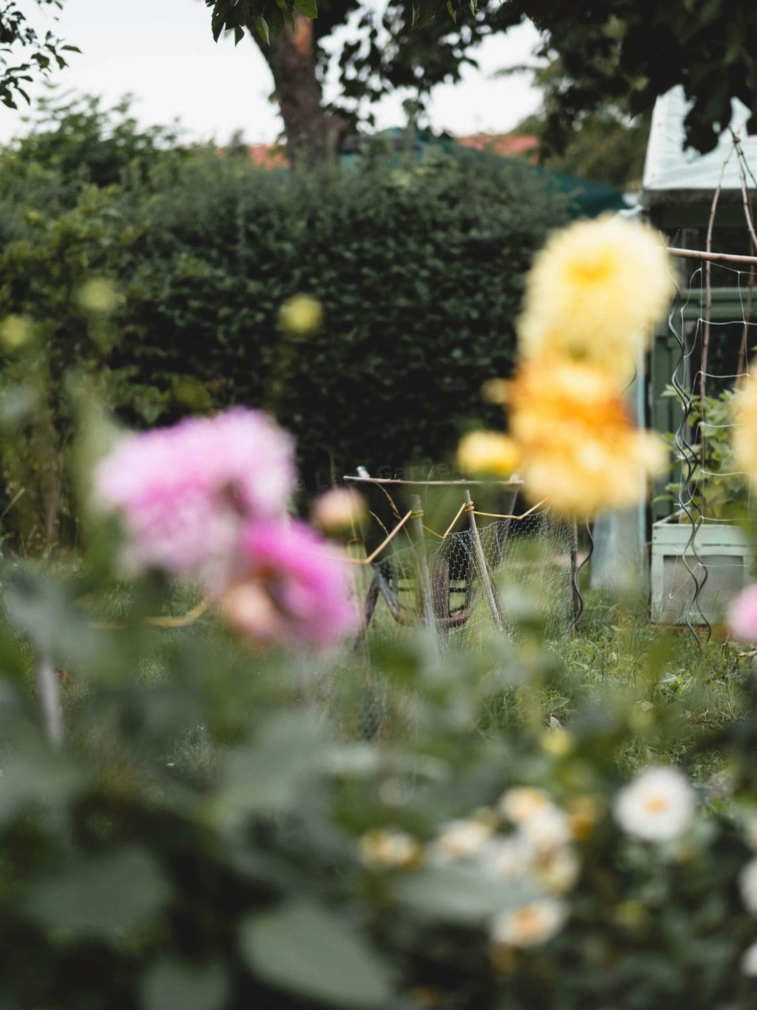 Preparing Your Garden Beds for a Healthy Growing Season