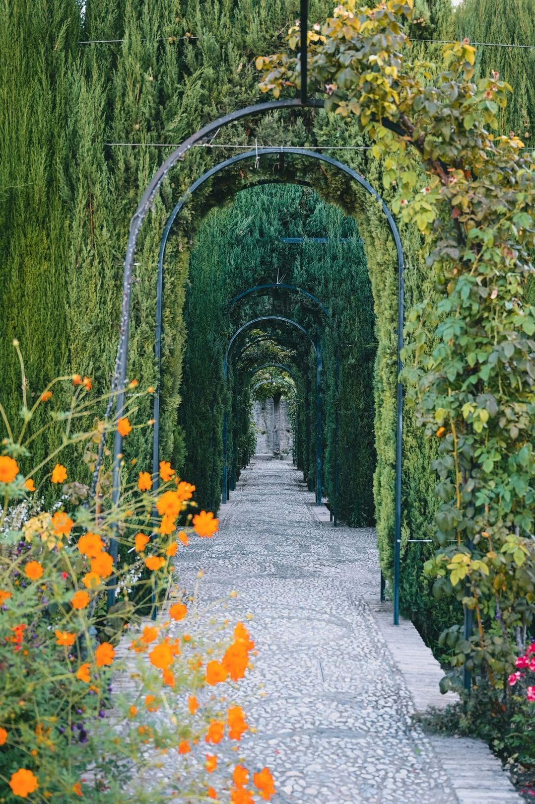 Container planting and patio garden styling
